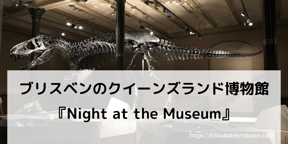 ブリスベンのクイーンズランド博物館で行われるイベント『ナイトミュージアム』のアイキャッチで使う夜の博物館と展示されている恐竜のスケルトンの写真