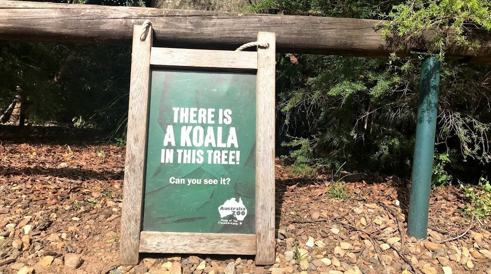 Australia Zoo のコアラがいる木の前に置いてあるサイン