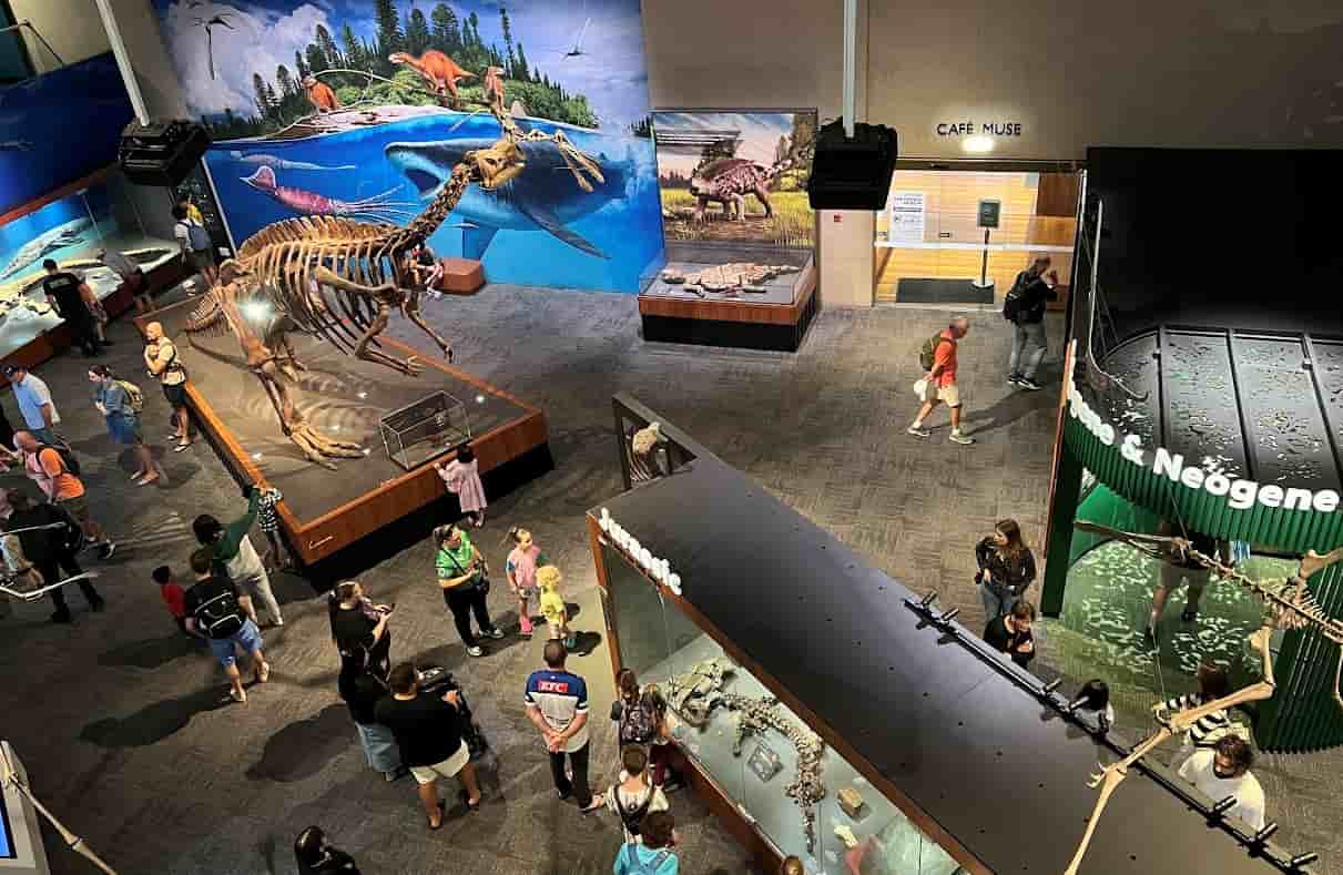 QLD Museum inside DInosaur area