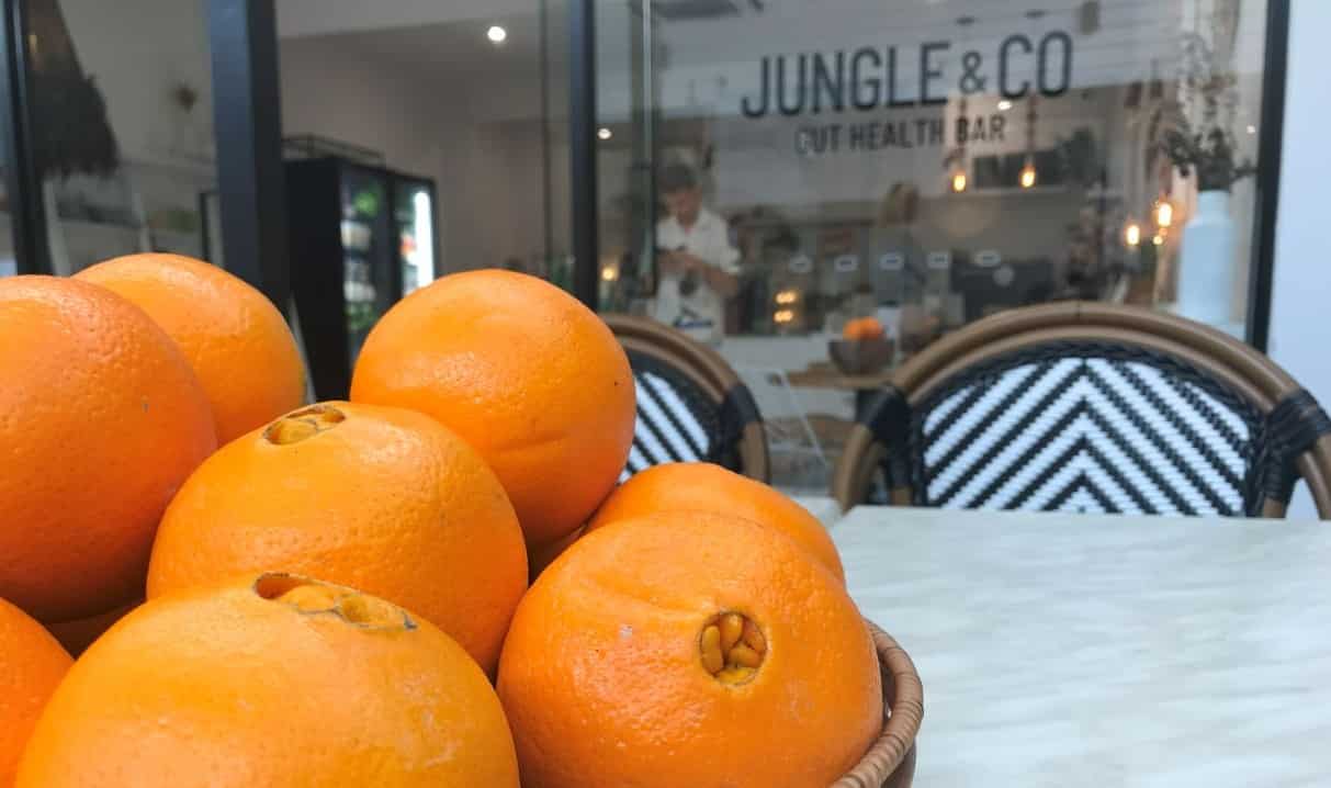 Jungle & Co ヘルシーランチ