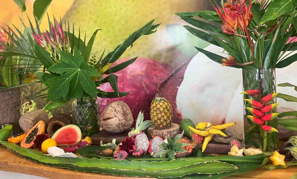 Tropical Fruits Worlds のツアーで実際に見たフルーツ