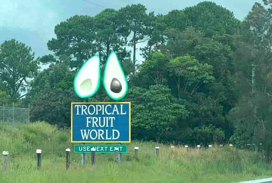 M1 Motorway の出口近くにあるTropical Fruit World のサイン