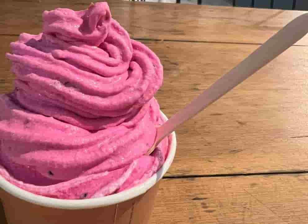 フルーツ沢山のアイスクリーム